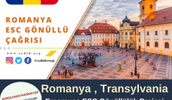 Romanya , Transylvania Gönüllülük Projesi