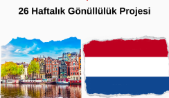 Hollanda , Eindhoven 26 Haftalık Gönüllülük Projesi