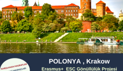 Polonya , Krakow Gönüllülük Projesi
