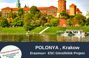 Polonya , Krakow Gönüllülük Projesi