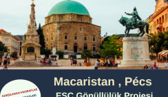 Macaristan , Pécs Gönüllülük Projesi
