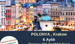 Polonya , Krakow 6 Aylık Gönüllülük Projesi