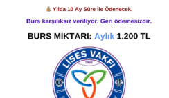 LİSES Vakfı Bursu Başvurusu LİSES Vakfı Bursu Başvurusu