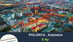 Polonya , Katowice 6 Ay Gönüllülük Projesi