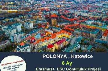Polonya , Katowice 6 Ay Gönüllülük Projesi