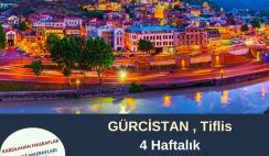 Gürcistan , Tiflis 4 Haftalık Gönüllülük Projesi