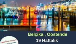 Belçika , Oostende 19 Haftalık Gönüllülük Projesi
