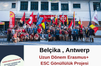 Belçika , Antwerp Uzun Dönem Gönüllülük Projesi