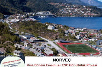 Norveç Kısa Dönem Gönüllülük Projesi
