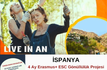 İspanya 4 Ay Gönüllülük Projesi