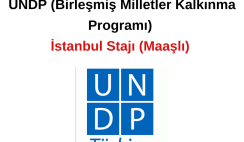UNDP (Birleşmiş Milletler Kalkınma Program) İstanbul Staj