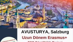 Avusturya , Salzburg Uzun Dönem Gönüllülük Projesi