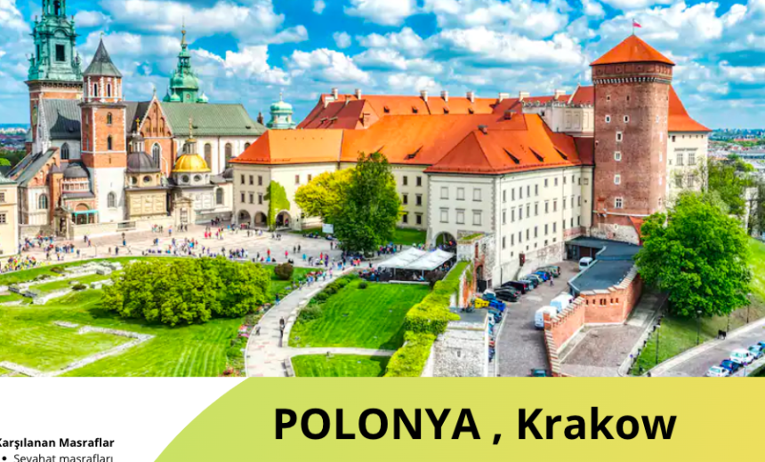 Polonya , Krakow 22 Haftalık Gönüllülük Projesi img