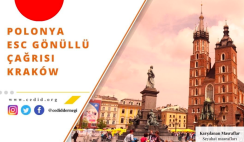 Polonya , Krakow Uzun Dönem Gönüllülük Projesi