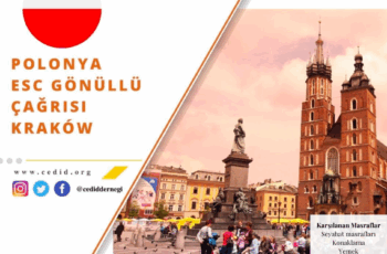 Polonya , Krakow Uzun Dönem Gönüllülük Projesi