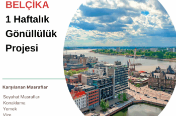 Belçika 1 Haftalık Gönüllülük Projesi