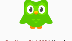 Duolingo Staj 2024 Duolingo Staj 2024