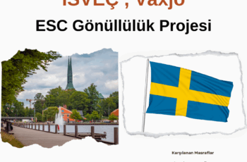 İsveç , Växjö Gönüllülük Projesi