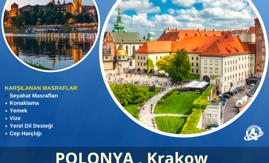 Polonya , Krakow 3 Aylık Gönüllülük Projesi img
