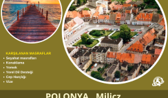 Polonya , Milicz Uzun Dönem Gönüllülük Projesi Polonya , Milicz Uzun Dönem Gönüllülük Projesi