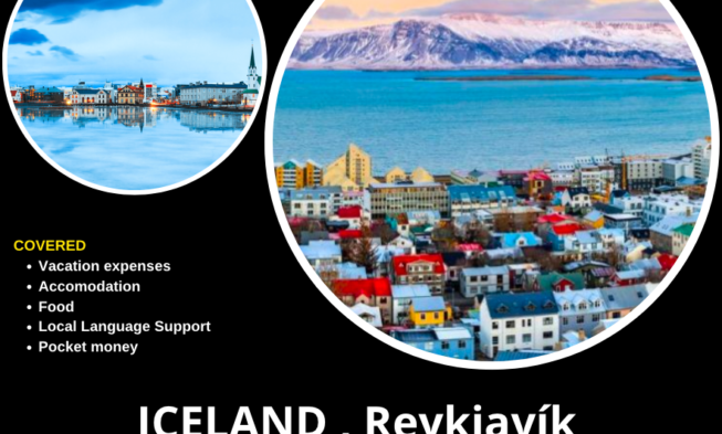 ICELAND , Reykjavík in Summer Short Term ESC Project img