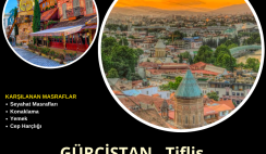 Gürcistan , Tiflis Kısa Dönem Gönüllülük Projesi Gürcistan , Tiflis Kısa Dönem Gönüllülük Projesi