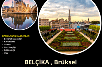 Belçika , Brüksel 2 Farklı Gönüllülük Projesi