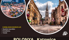 Polonya , Katowice Gönüllülük Projesi