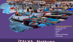 İtalya , Nettuno Gönüllülük Projesi İtalya , Nettuno Gönüllülük Projesi