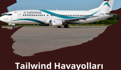 Tailwind Havayolları Türkiye İş İlanları 2023