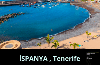İspanya , Tenerife Uzun Dönem Gönüllülük Projesi