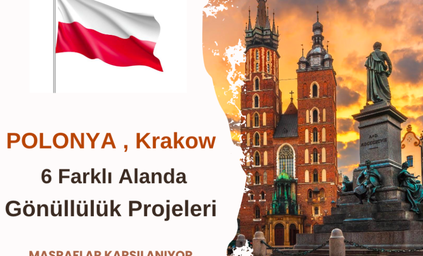 Polonya , Krakow Gönüllülük Projeleri img