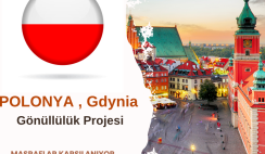 Polonya , Gdynia Gönüllülük Projesi Polonya , Gdynia Gönüllülük Projesi