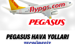 Pegasus Kabin Memuru İlanı