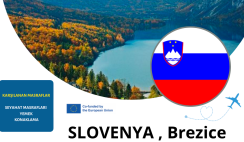 Slovenya , Brezice 8 Gün Gençlik Değişimi Slovenya , Brezice 8 Gün Gençlik Değişimi
