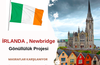 Irlanda , Newbridge Gönüllülük Projesi