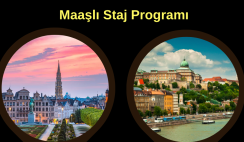 Belçika ve Macaristan: Maaşlı Staj Programı Belçika ve Macaristan: Maaşlı Staj Programı