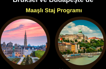 Belçika ve Macaristan: Maaşlı Staj Programı Belçika ve Macaristan: Maaşlı Staj Programı