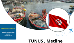 Tunus , Metline 7 Gün Gençlik Değişimi Tunus , Metline 7 Gün Gençlik Değişimi