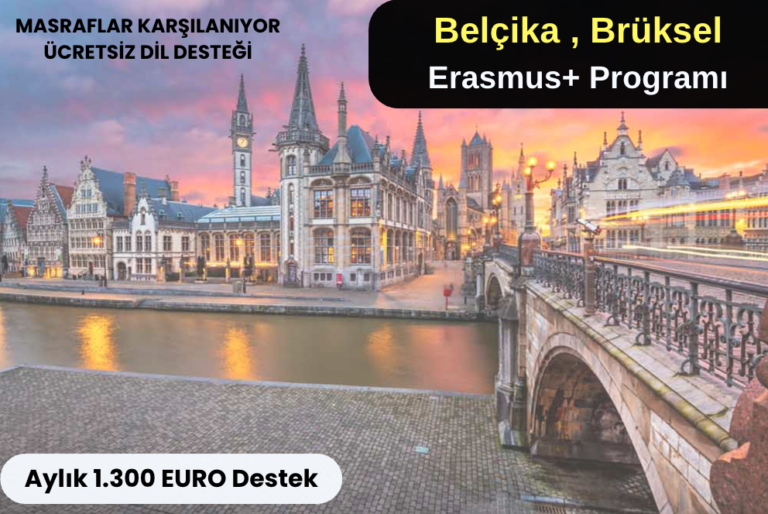 Belçika , Brüksel : Uzun Dönem Gönüllülük Projesi