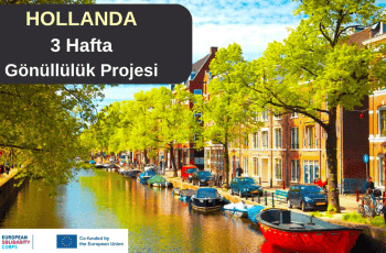 Hollanda : 3 Hafta Gönüllülük Projesi Hollanda : 3 Hafta Gönüllülük Projesi