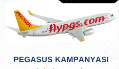 Pegasus Yurt içi Bilet Kampanyası : 499 TL Pegasus Yurt içi Bilet Kampanyası : 499 TL