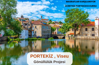 Portekiz , Viseu : Gönüllülük Projesi