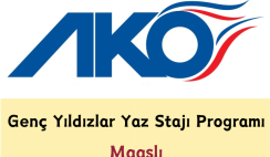 Genç Yıldızlar Yaz Stajı Programı – Maaşlı Genç Yıldızlar Yaz Stajı Programı – Maaşlı