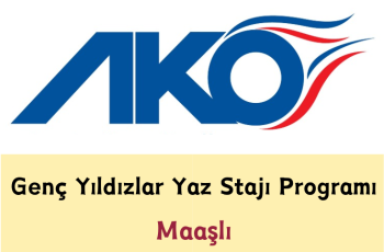 Genç Yıldızlar Yaz Stajı Programı – Maaşlı