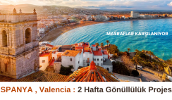 İspanya , Valencia : 2 Hafta Gönüllülük Projesi İspanya , Valencia : 2 Hafta Gönüllülük Projesi