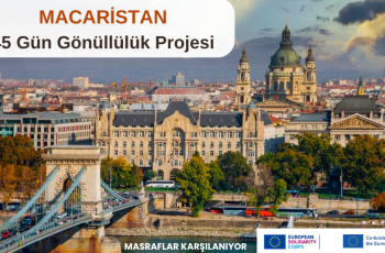 Macaristan , Kállósemjén : 45 Gün Gönüllülük Projesi