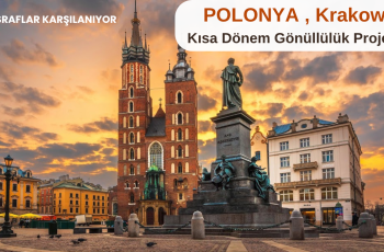 Polonya , Krakow : Kısa Dönem Gönüllülük Projesi