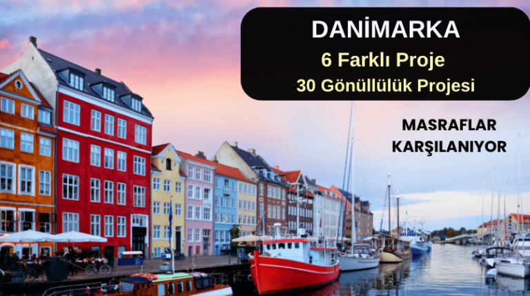 Danimarka 6 Farklı Proje: 30 Gönüllü İlanı