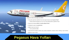Pegasus Airlines Kış Dönemi Staj Programı Pegasus Airlines Kış Dönemi Staj Programı